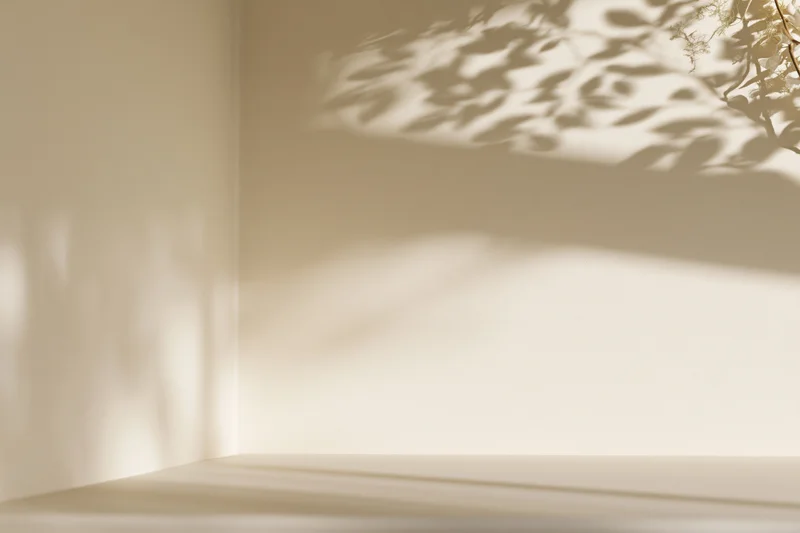 Minimalist studio corner with dappled sunlight and plant shadows on beige walls