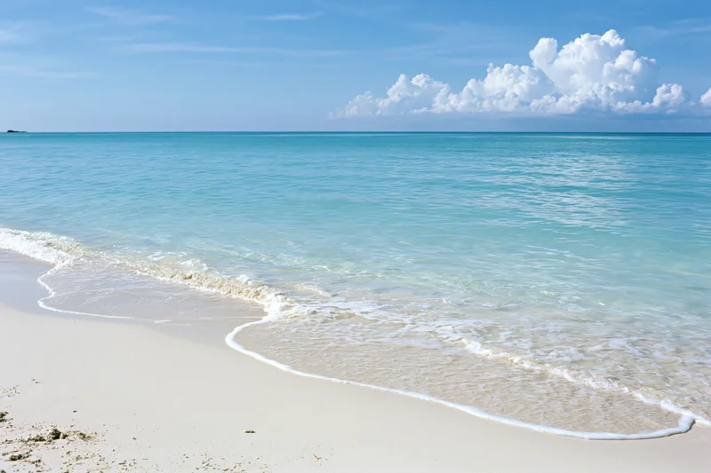 Gentle waves washing onto white sand at a tropical beach under a clear blue sky