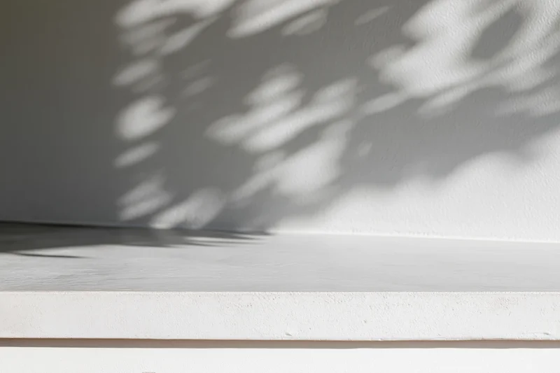 White concrete surface with dappled leaf shadows on adjacent wall corner