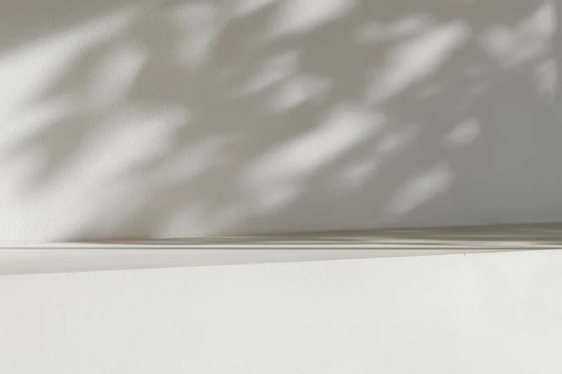 Dappled leaf shadows on a white concrete wall in an interior space