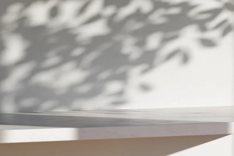 White concrete surface with dappled leaf shadows on a wall, interior space