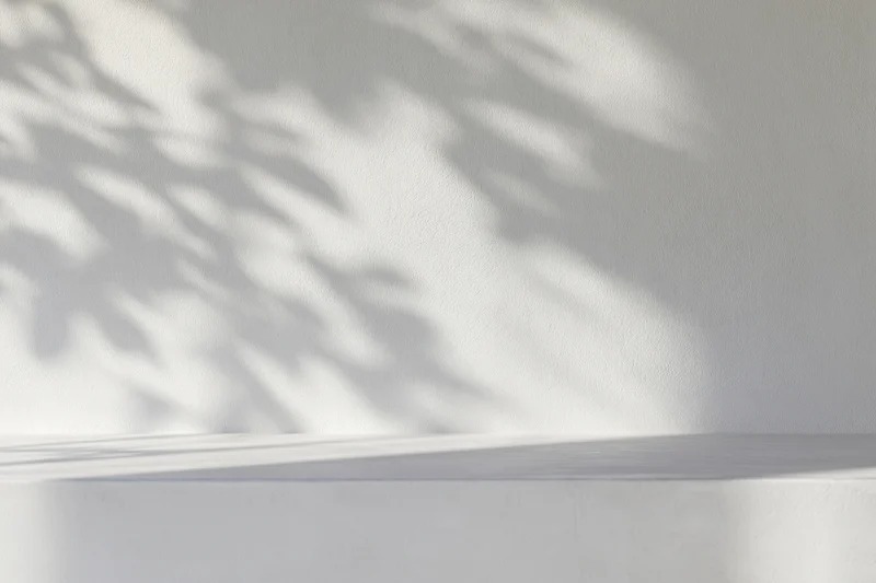 White concrete wall with dappled leaf shadows and empty shelf in minimalist interior