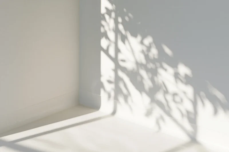 Dappled sunlight casts leaf shadows on a white interior corner where wall meets floor