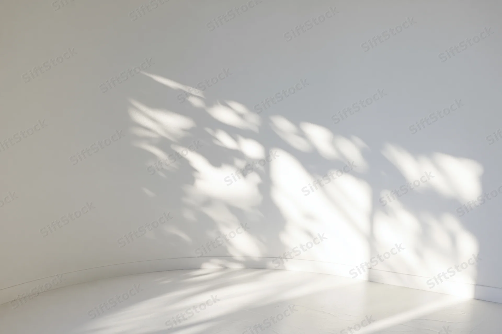 Curved white wall and floor in a studio corner with dappled sunlight shadows
