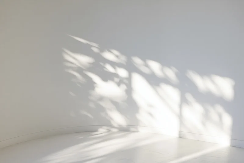 Curved white wall and floor in a studio corner with dappled sunlight shadows