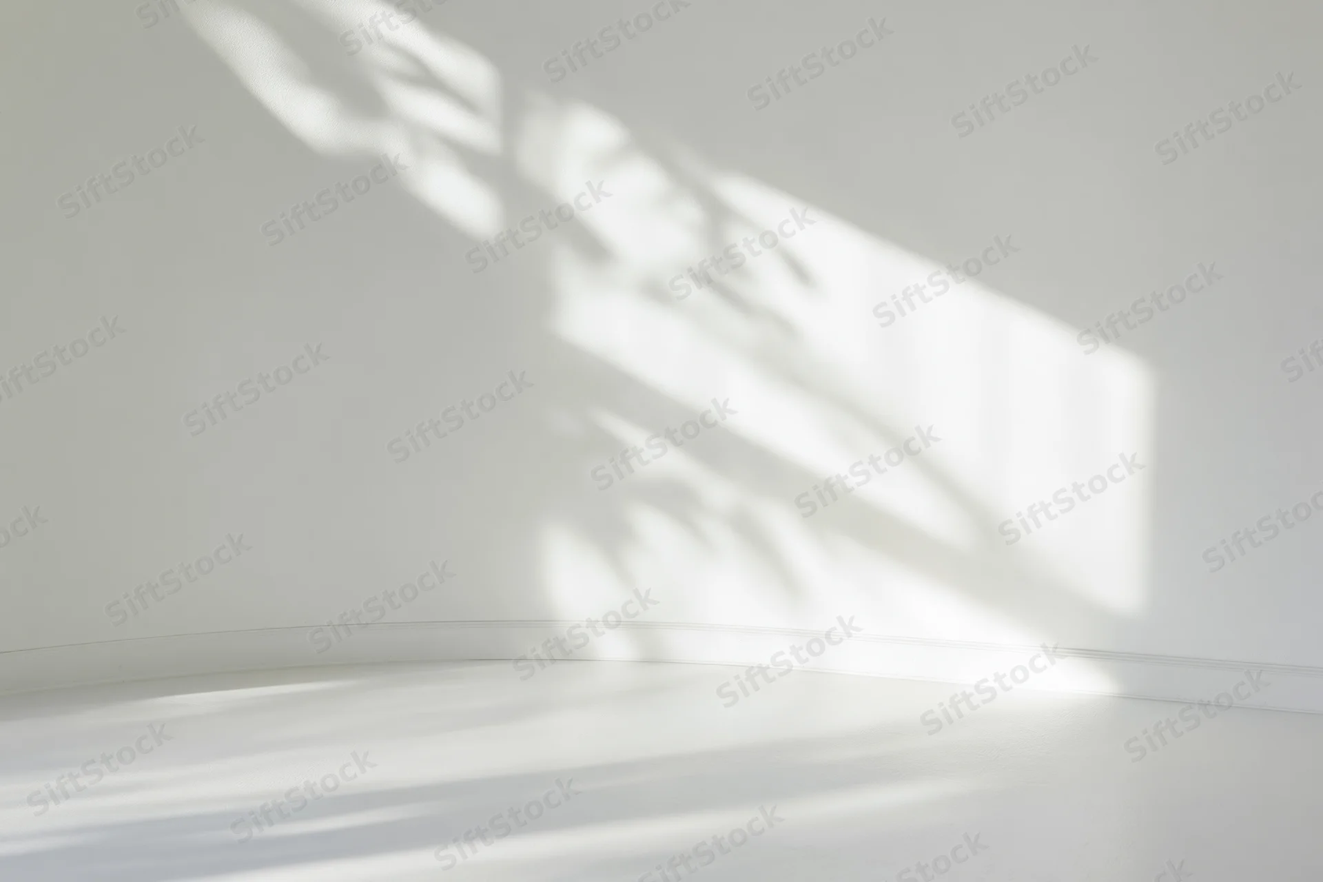 Curved white wall meeting smooth floor in a bright studio corner with sunlight casting soft shadows