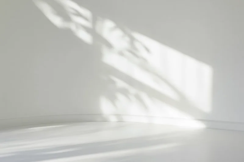 Curved white wall meeting smooth floor in a bright studio corner with sunlight casting soft shadows