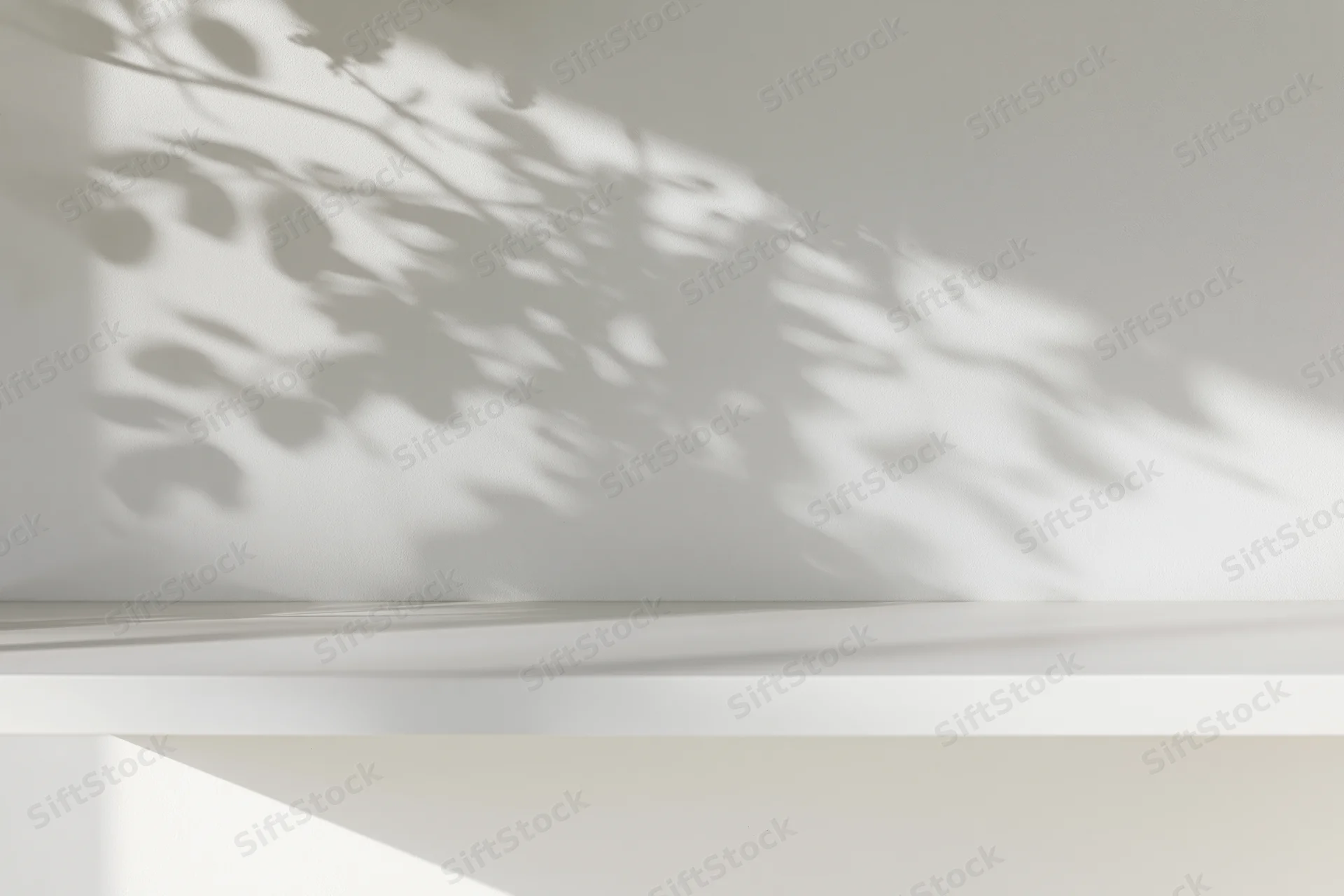 White studio shelf with leaf shadows on plain wall