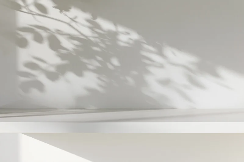White studio shelf with leaf shadows on plain wall