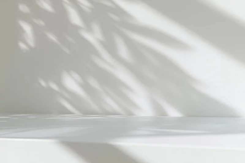 White studio surface with leaf shadows on wall background