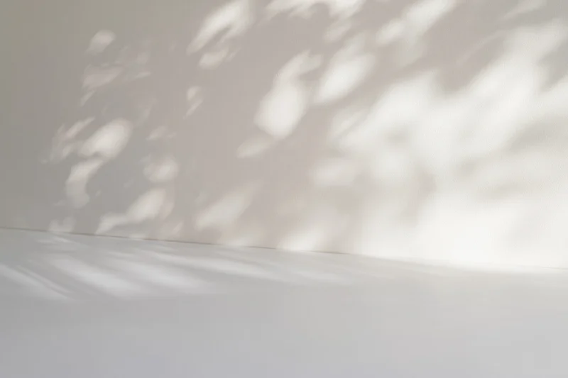 White studio surface meeting a wall with soft dappled light and shadow