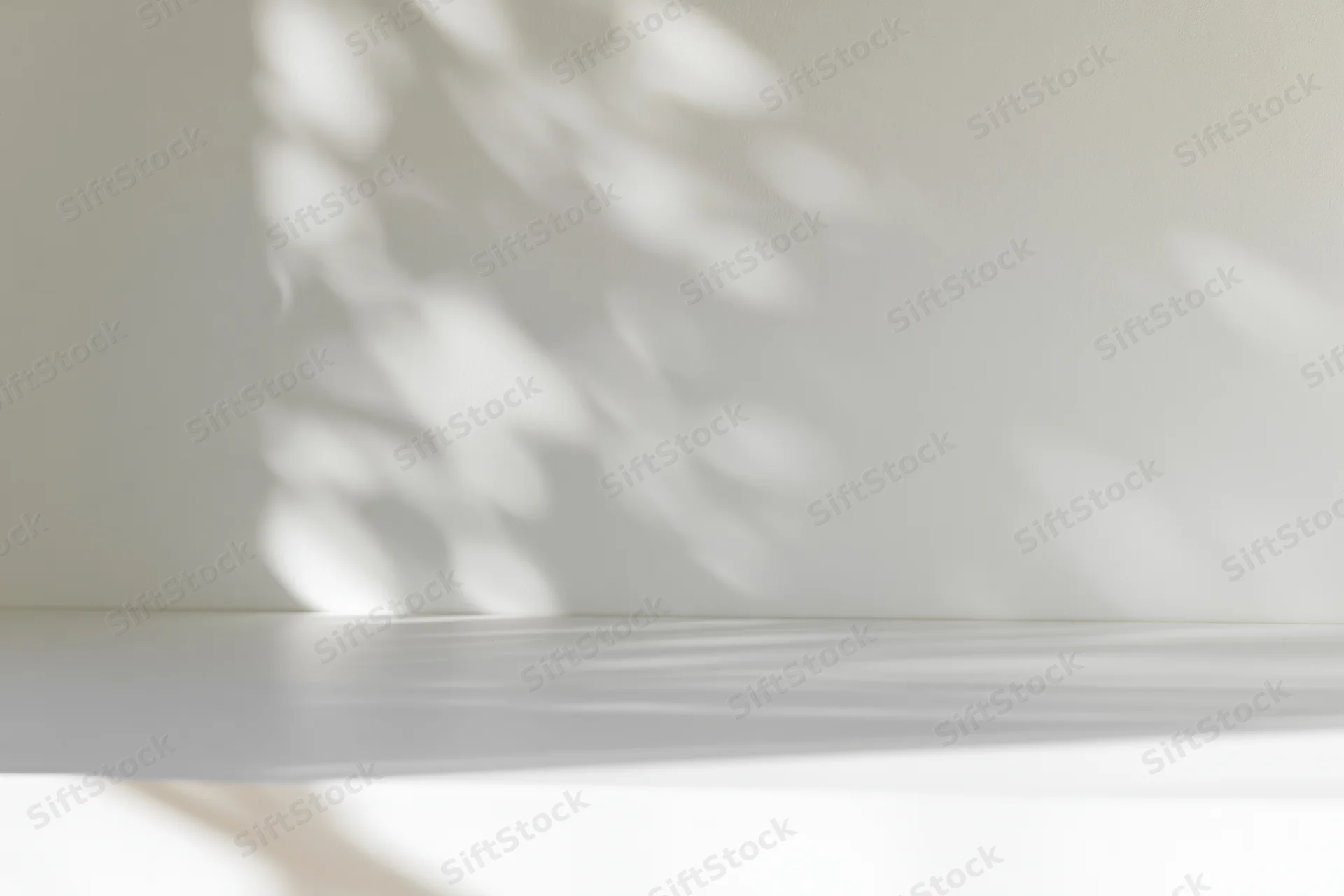 White studio surface meeting a wall with soft dappled light and shadows