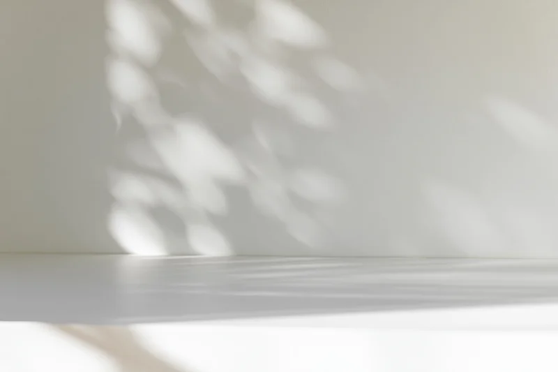 White studio surface meeting a wall with soft dappled light and shadows