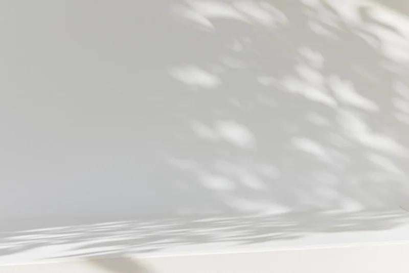White wall and surface with soft dappled shadows from sunlight filtering through foliage