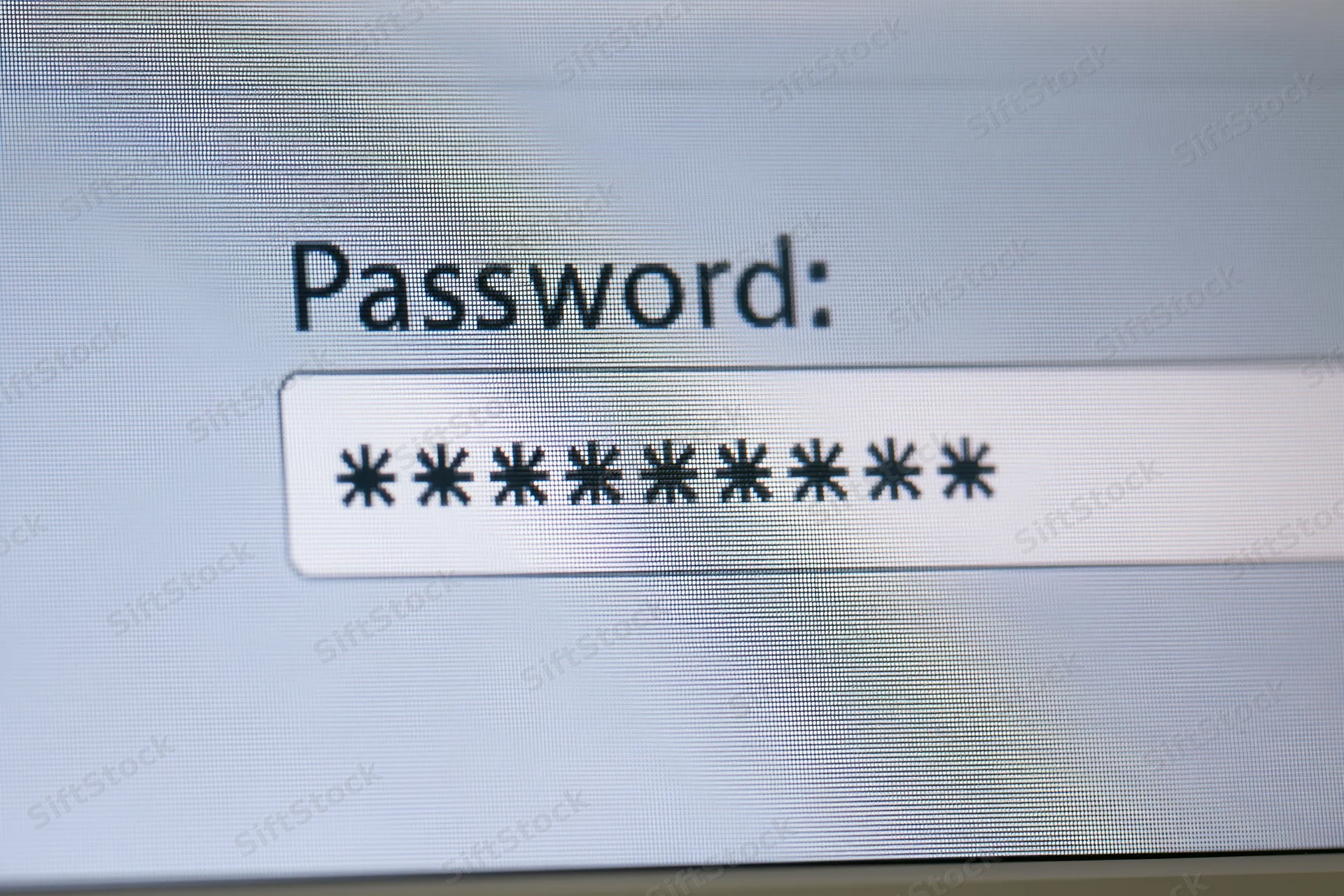 Close-up of password field on computer screen showing masked characters