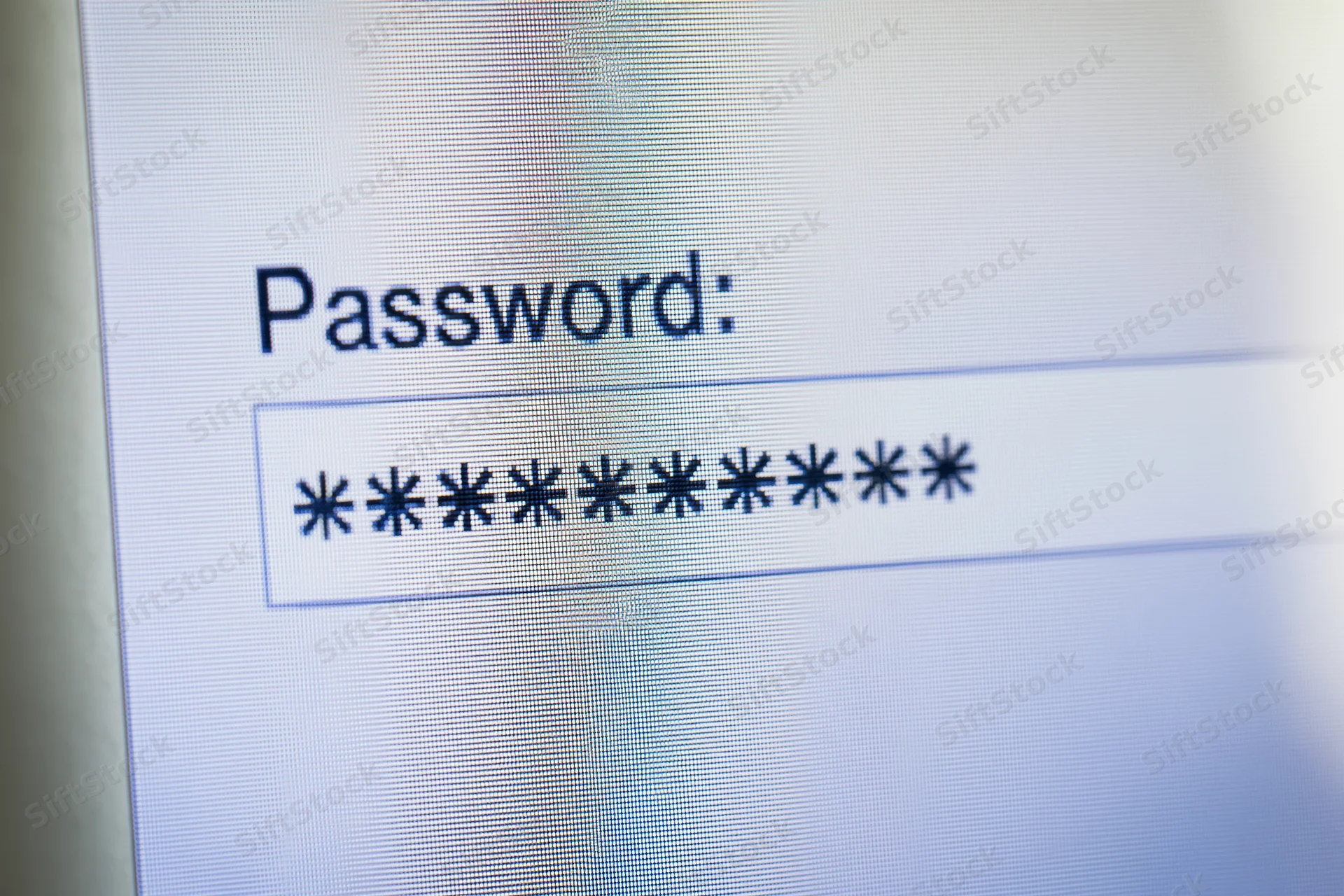 Close-up of password field on computer screen with masked characters