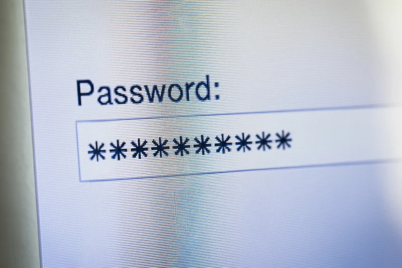 Close-up of password field on computer screen with masked characters