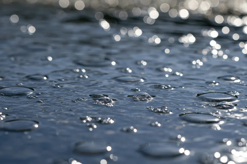 Rain droplets on a wet surface reflecting sunlight in a close-up view