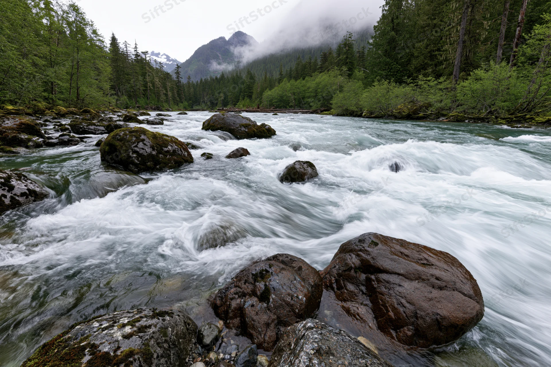 Fast-flowing glacial river rushing over rocks in a forested mountain valley