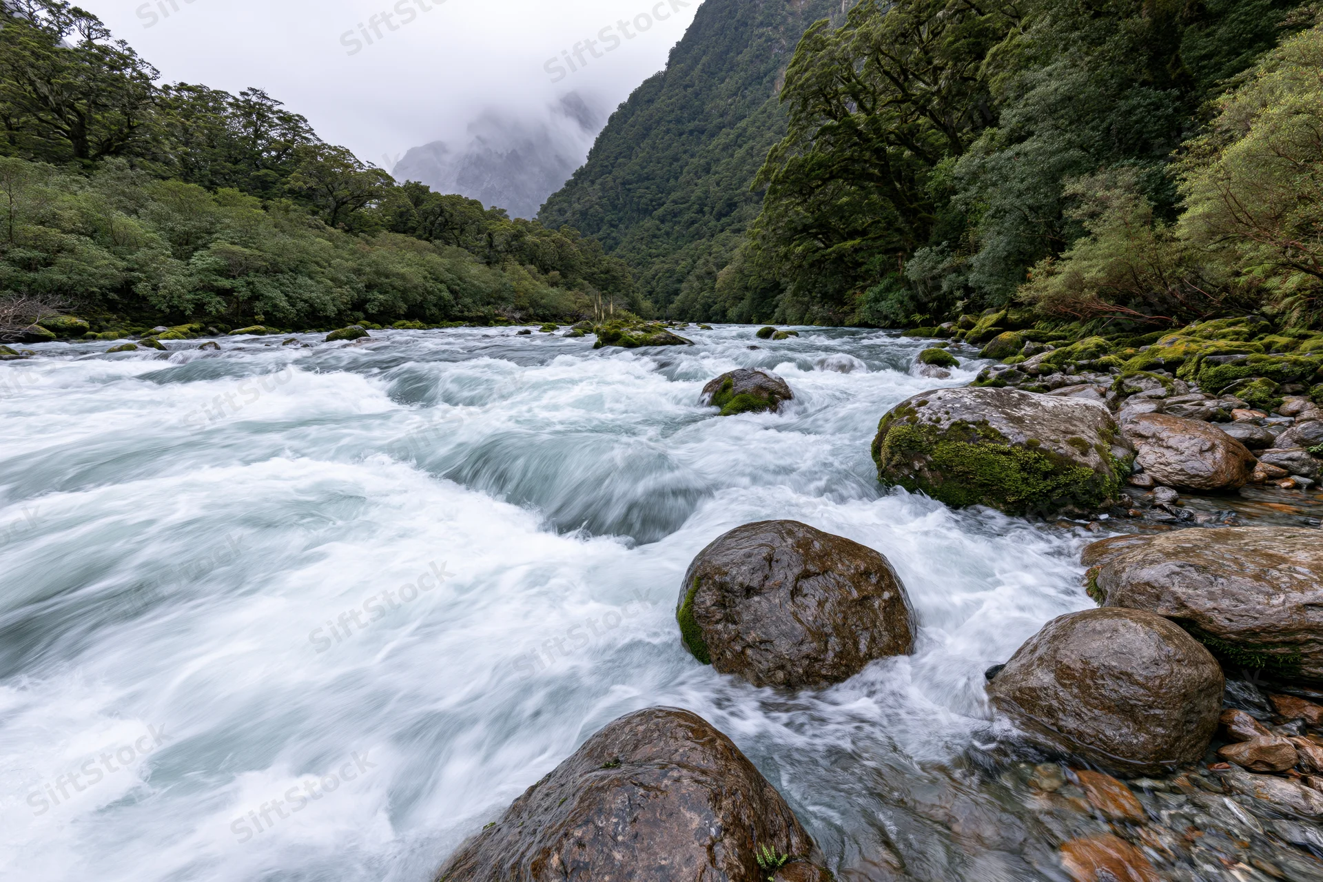 Fast-flowing glacial river rushing over moss-covered rocks through a forested valley with misty mountains in the background