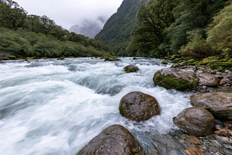 Fast-flowing glacial river rushing over moss-covered rocks through a forested valley with misty mountains in the background