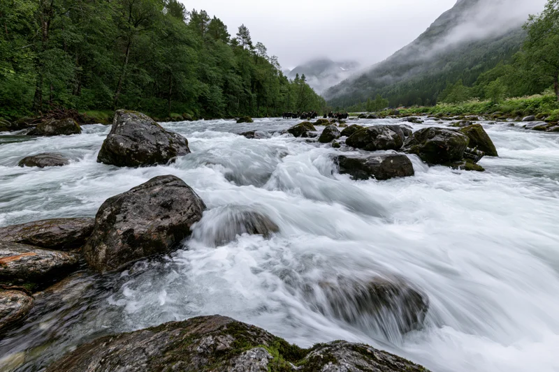 Fast-flowing glacial river rushing over rocks in a misty mountain valley surrounded by dense forest