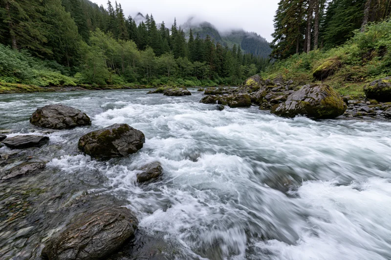 Fast-flowing river rushing over rocks in a forested mountain valley