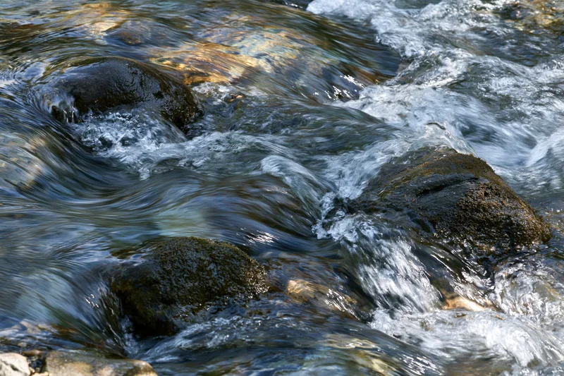 Fast-moving stream flowing over mossy wet rocks in a mountain forest setting