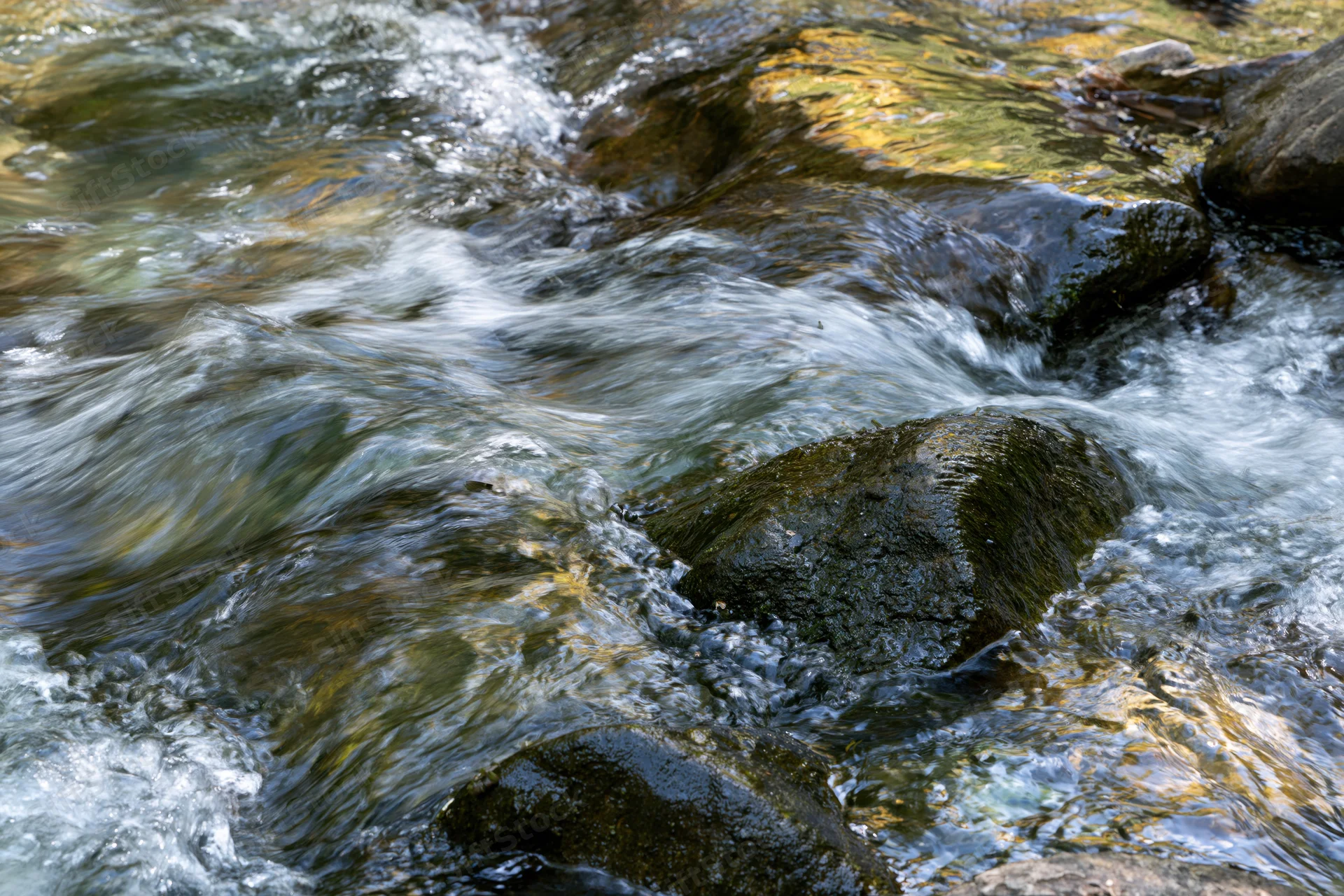 Fast-moving stream flowing over mossy wet rocks in a forest setting
