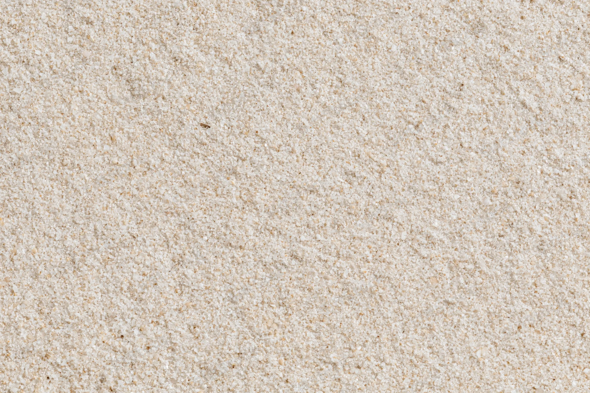 Closeup of fine dry beach sand surface viewed from directly above in flat lay composition