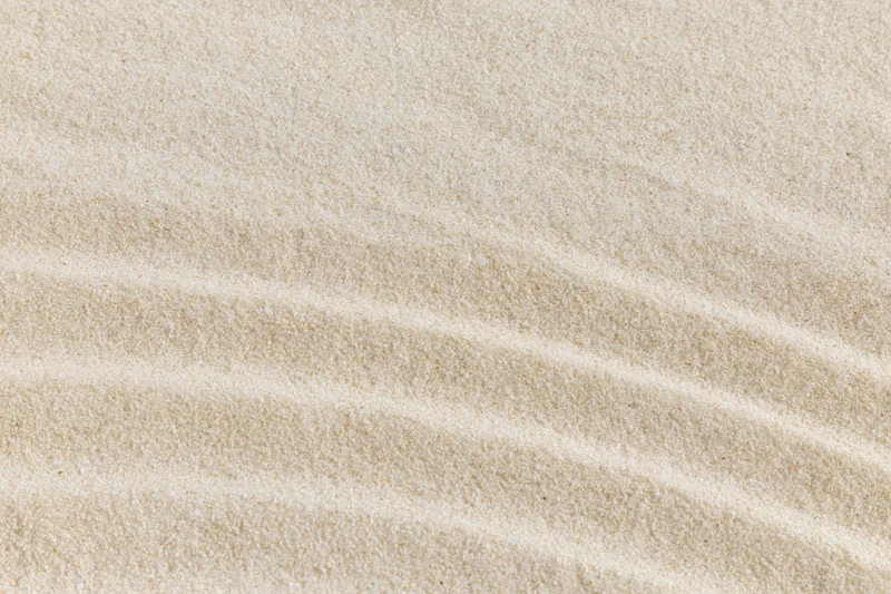 Fine sand surface with parallel ripples viewed from above