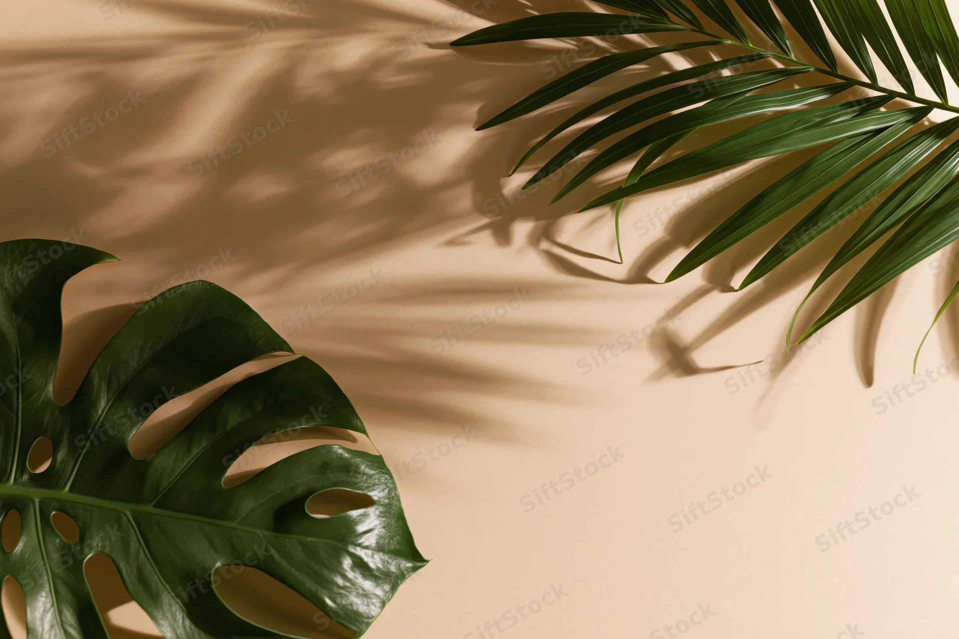 Monstera and palm leaves arranged on a beige surface with sunlight casting shadows