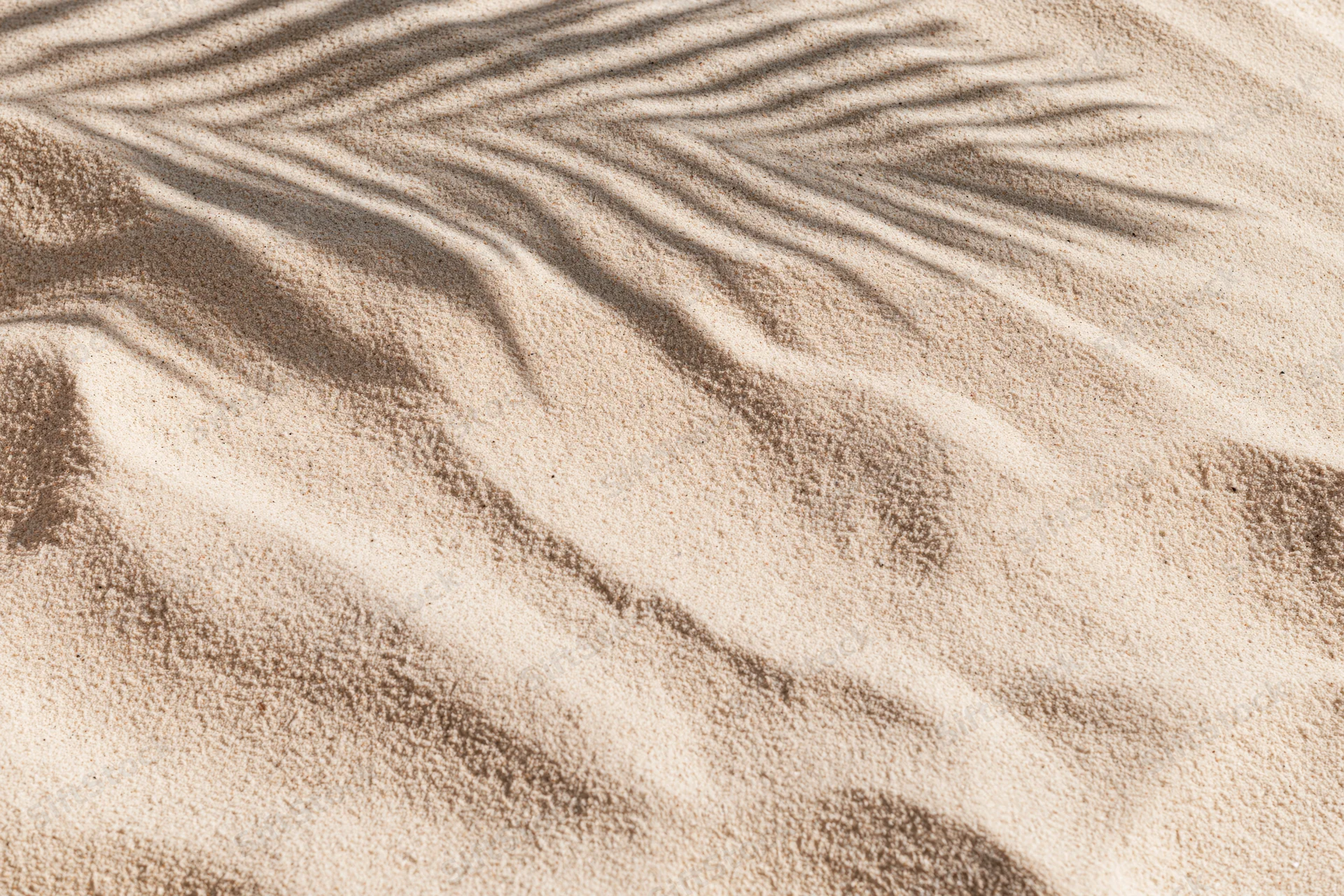 Overhead close-up of dry beach sand with palm leaf shadow pattern