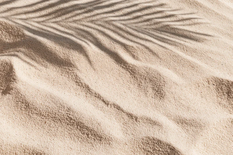 Overhead close-up of dry beach sand with palm leaf shadow pattern