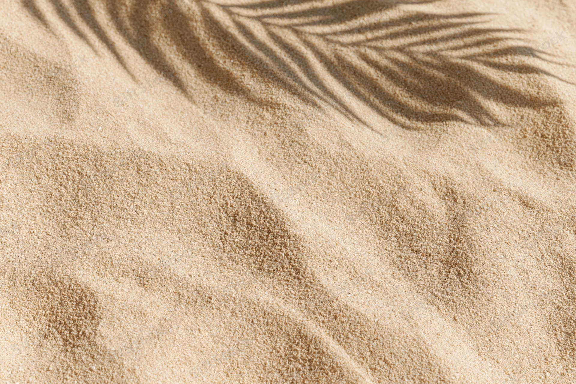 Close-up of dry beach sand with palm frond shadow overhead