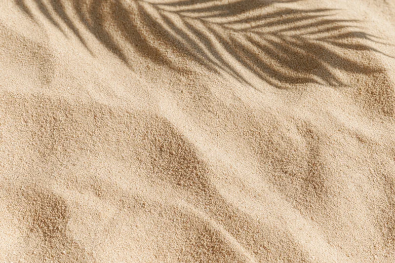 Close-up of dry beach sand with palm frond shadow overhead