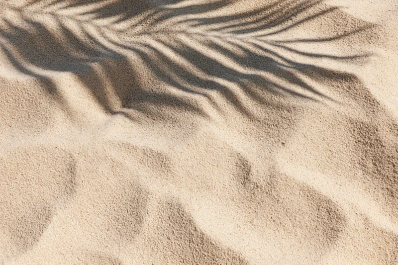 Overhead closeup of dry beach sand with palm shadow pattern