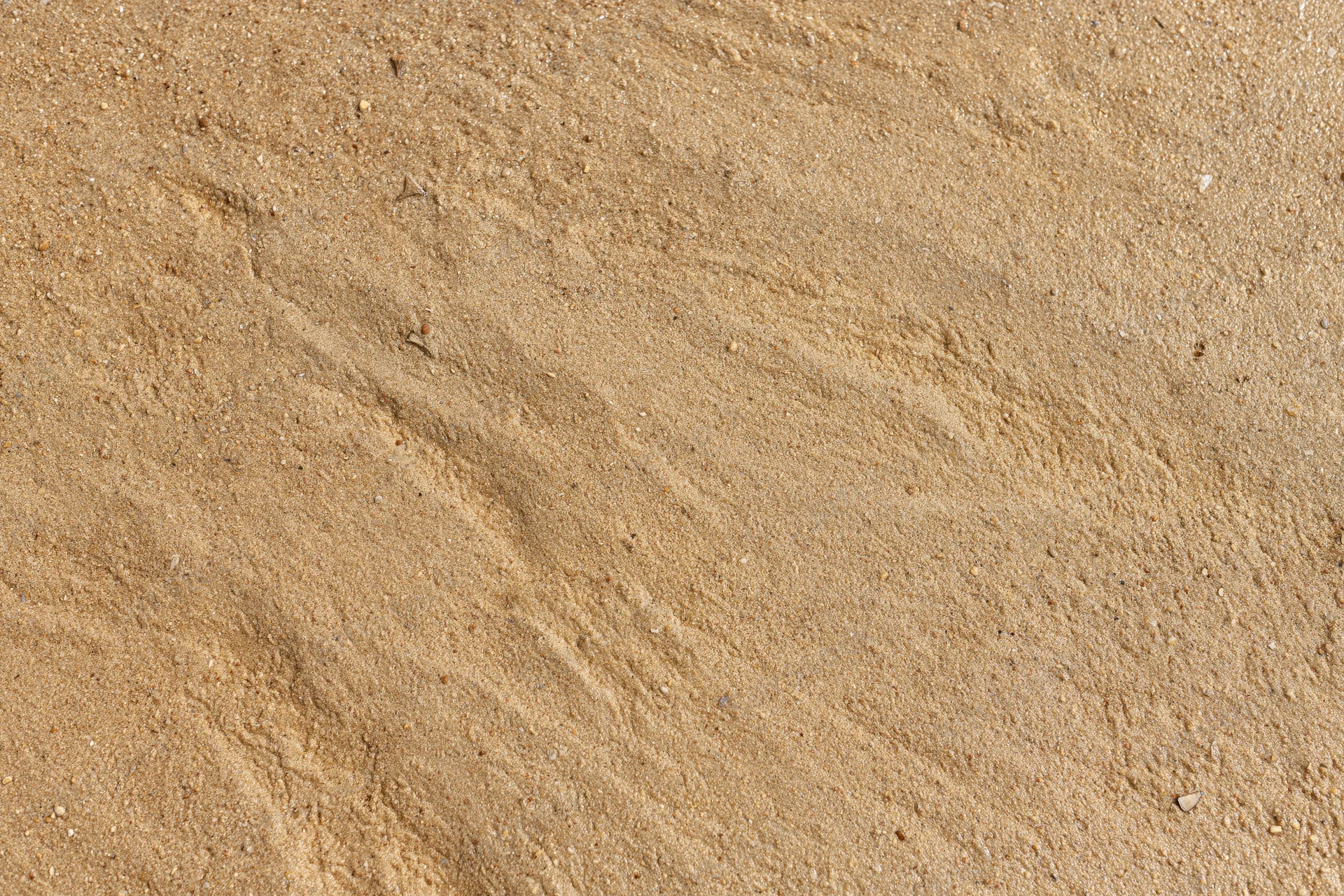 Close-up of wet beach sand surface with smooth texture and fine grains