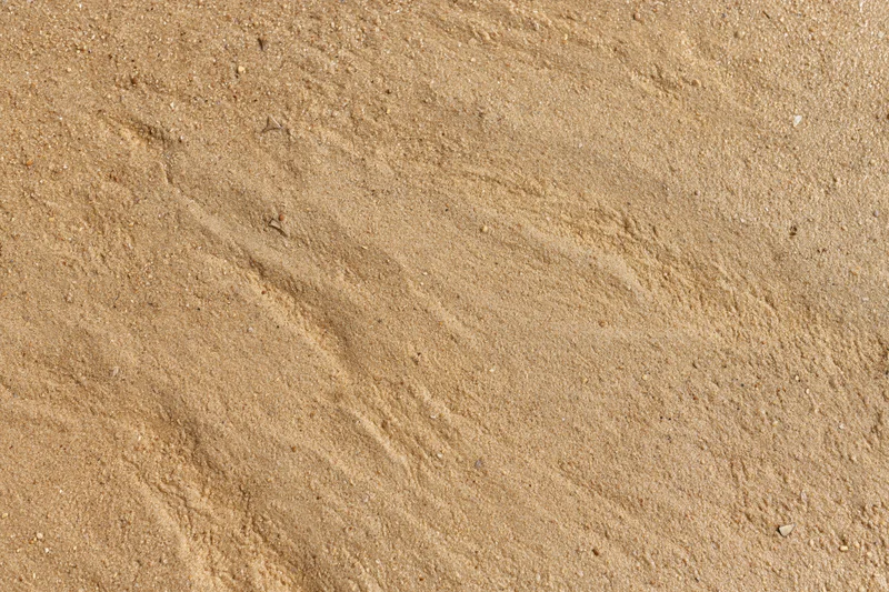 Close-up of wet beach sand surface with smooth texture and fine grains