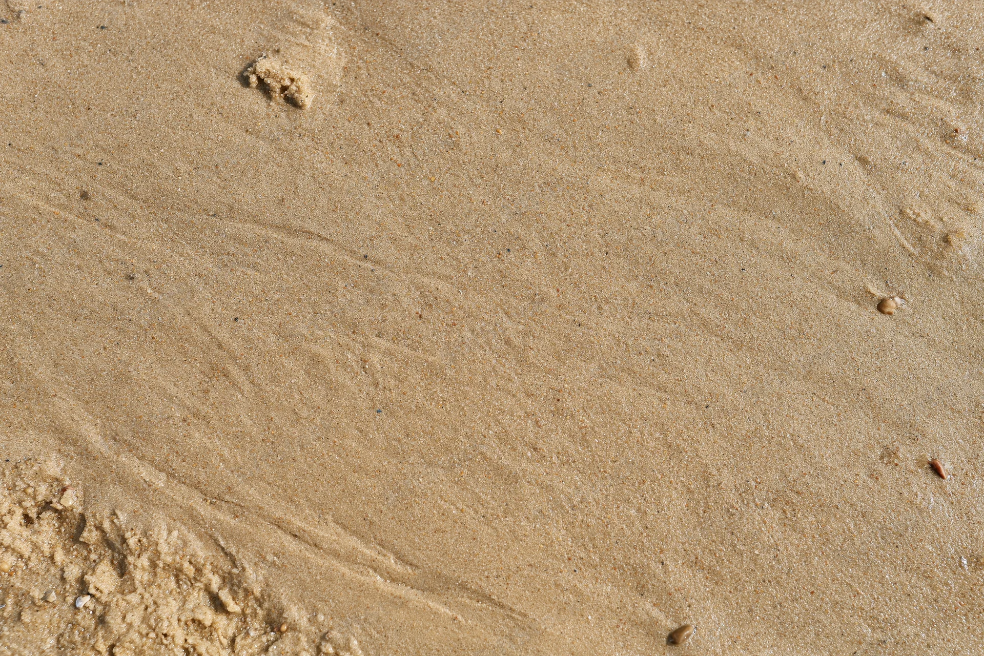 Close-up of smooth wet sand on a beach surface