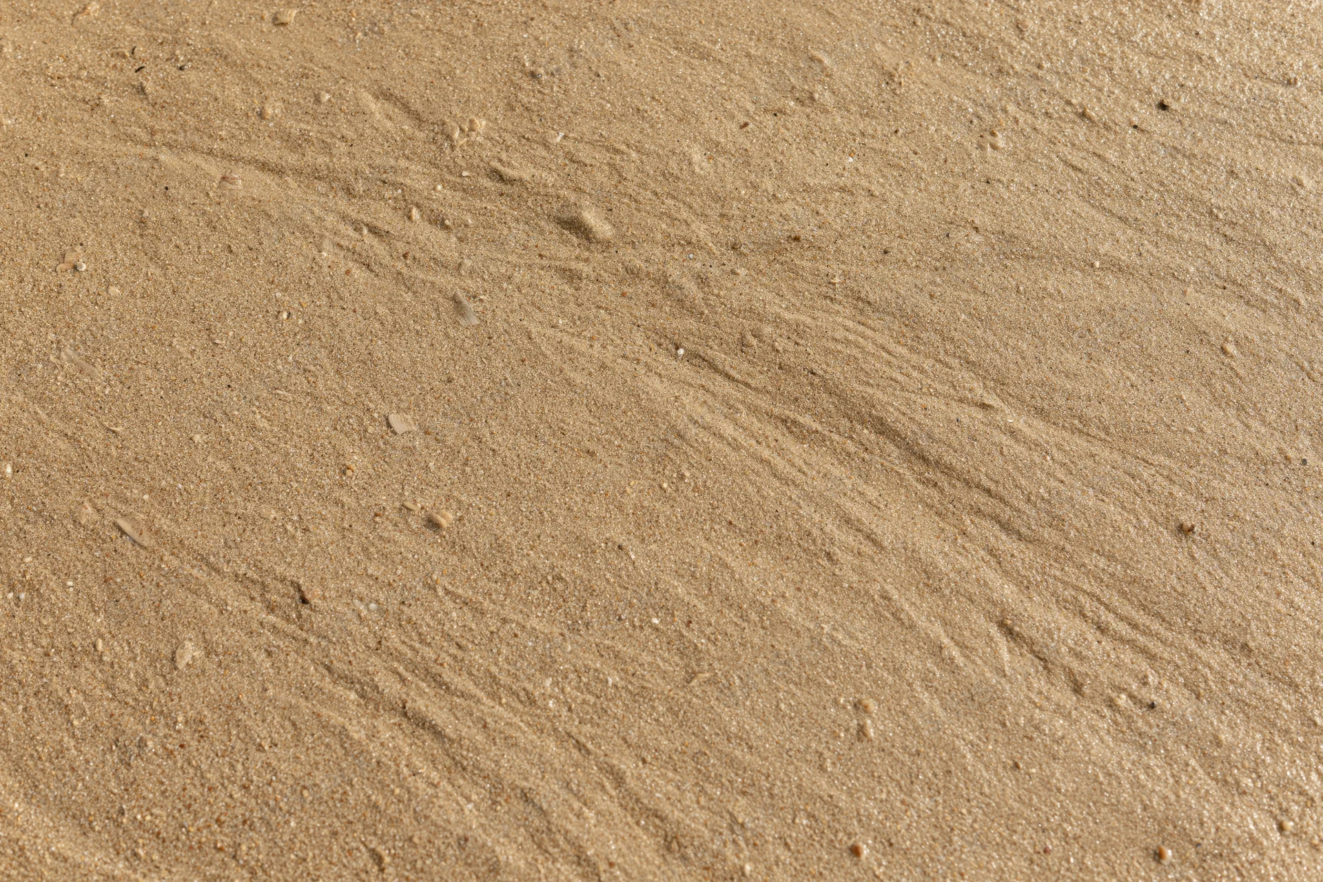 Close-up of smooth wet beach sand surface from overhead view