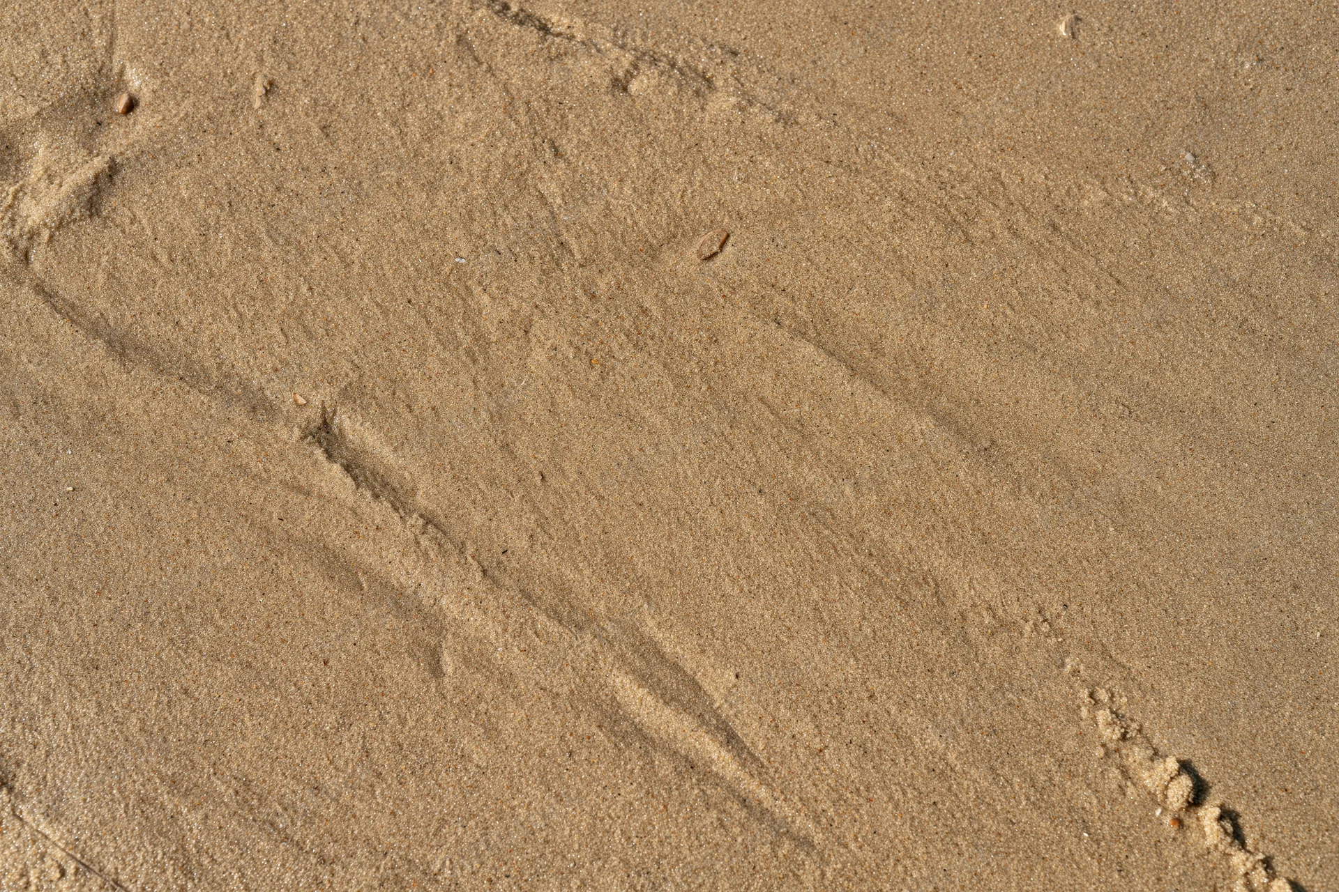 Close-up of smooth wet beach sand surface with faint footprints and ripples