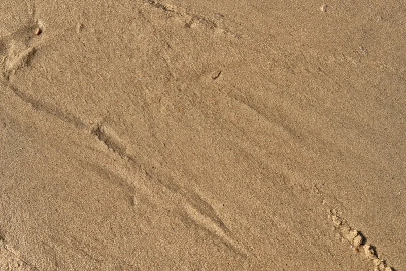 Close-up of smooth wet beach sand surface with faint footprints and ripples