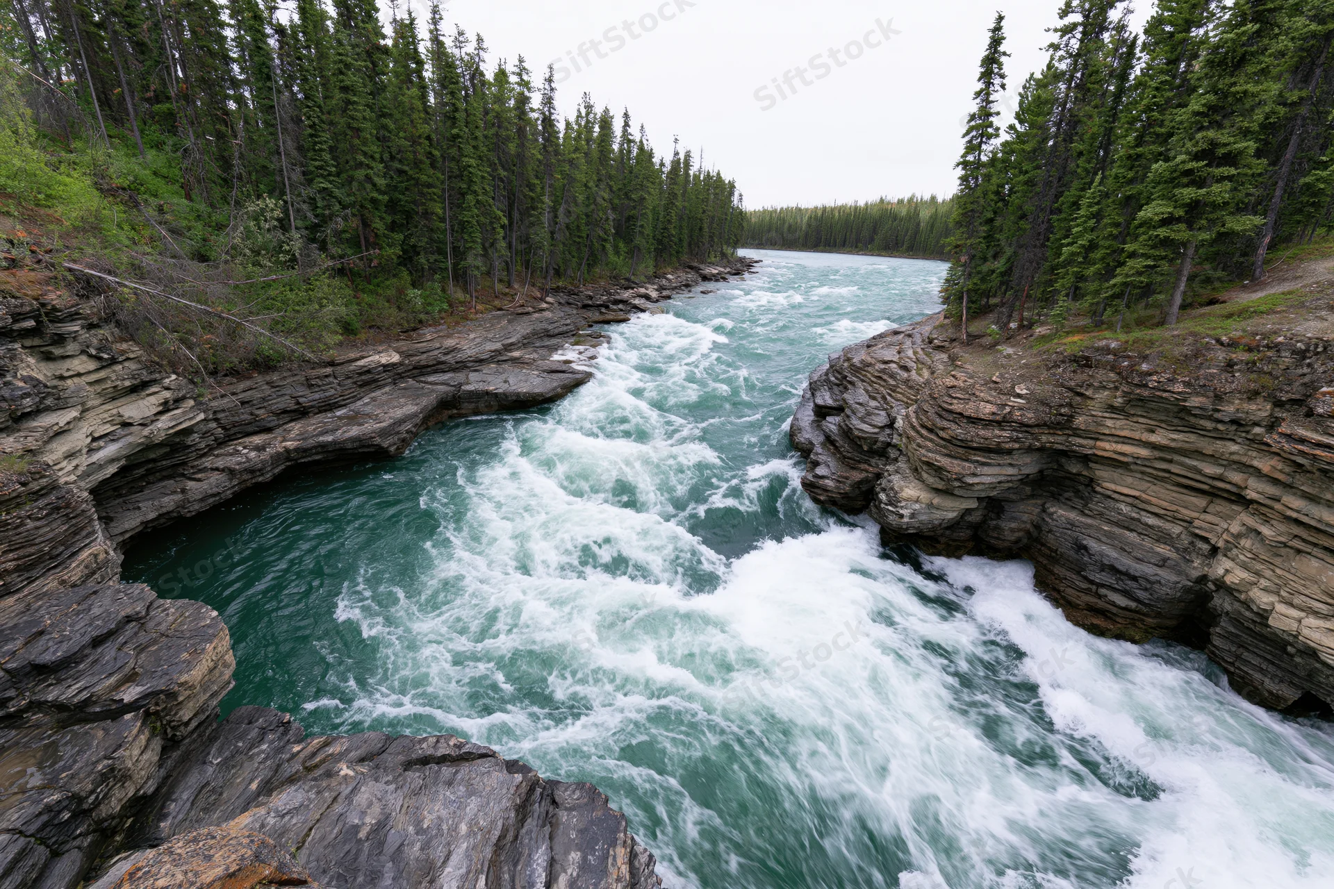 Turquoise river rushing through rocky canyon surrounded by pine forest