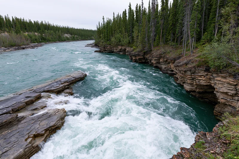 Turquoise river rushing through layered sedimentary rock canyon surrounded by pine forest