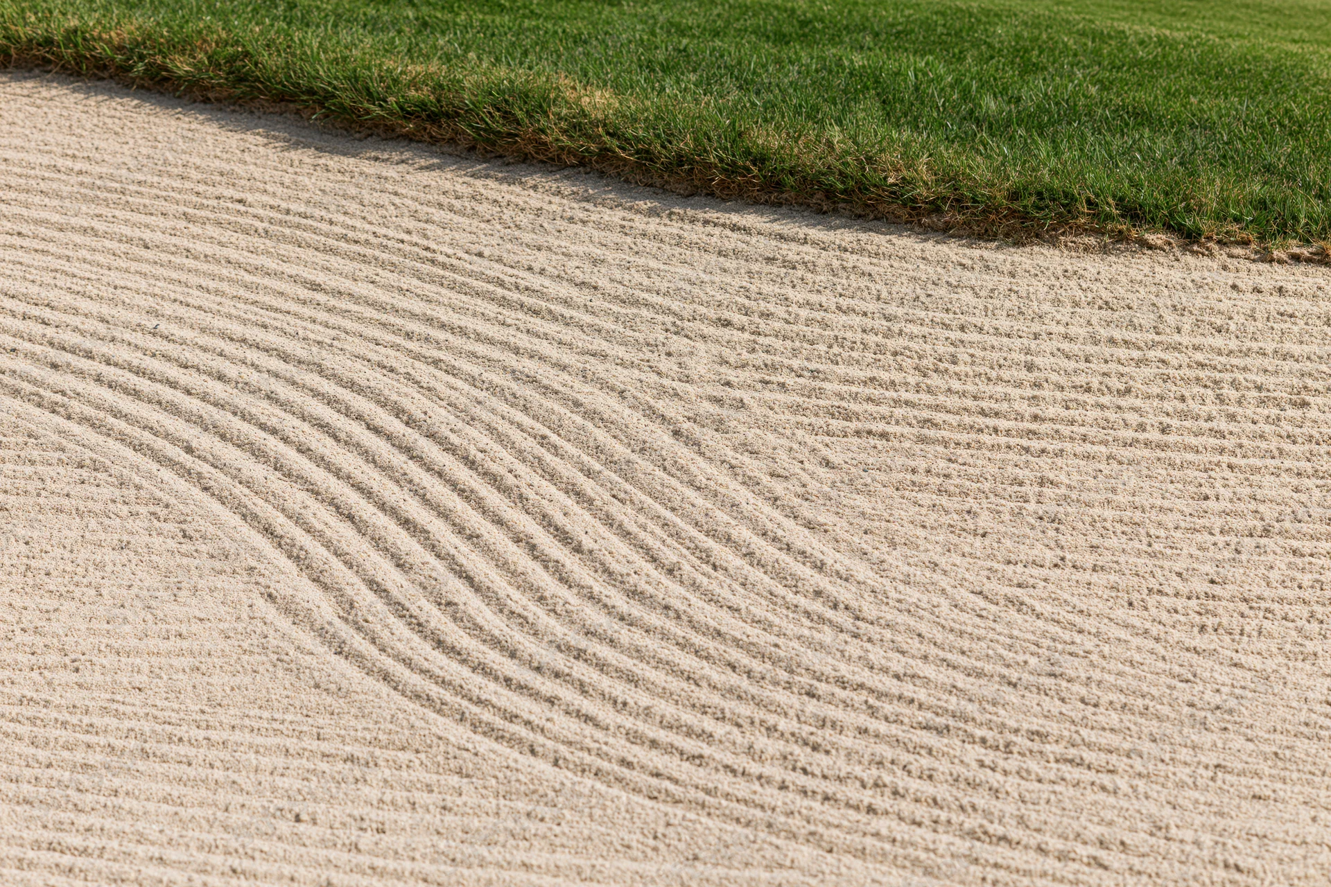 Raked sand bunker with curved parallel lines bordering green grass on a golf course