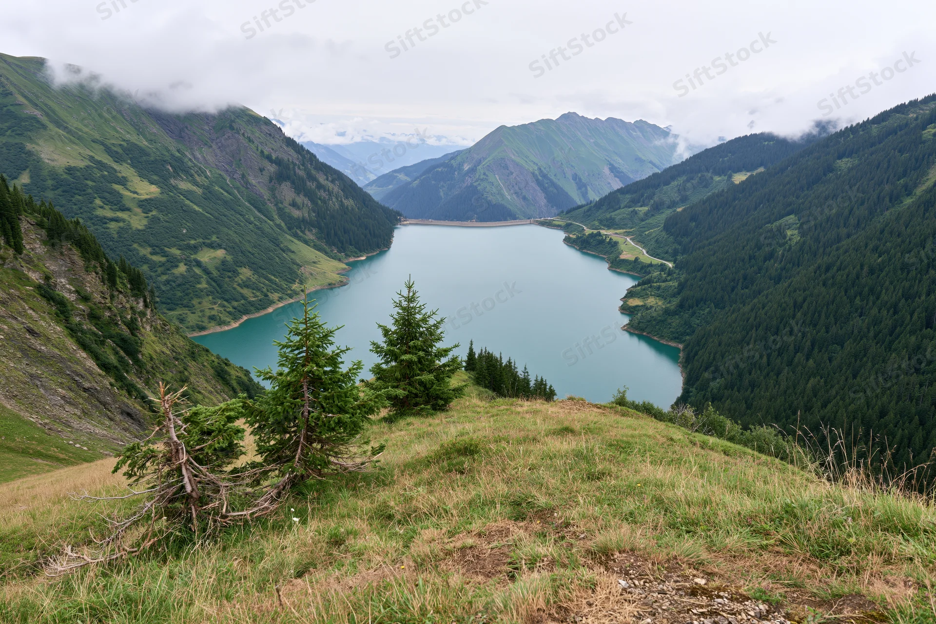 Alpine reservoir nestled between steep green mountains viewed from grassy hilltop