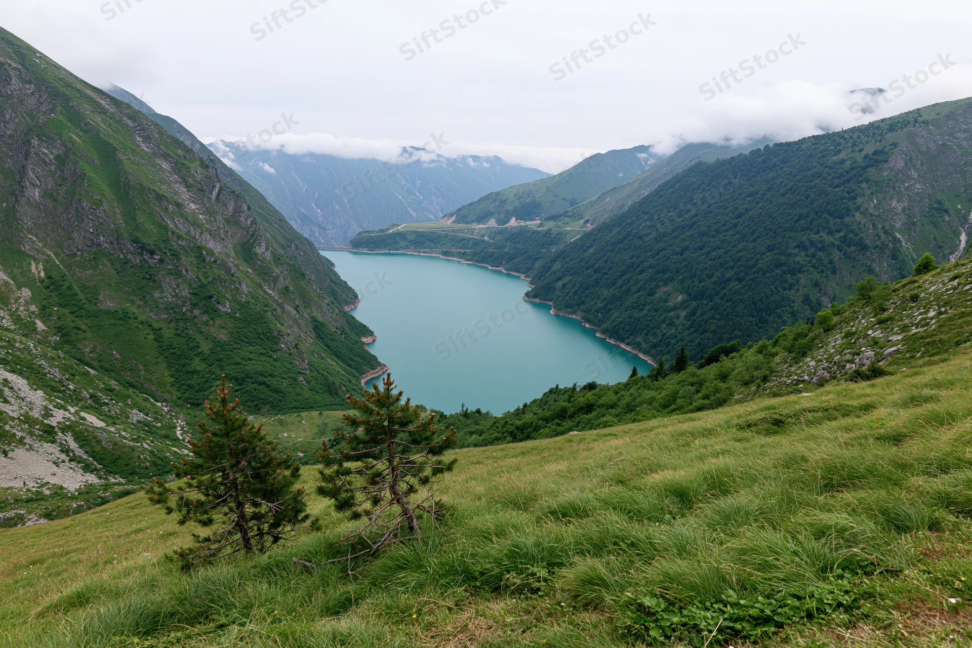 Alpine reservoir nestled between steep green mountains viewed from grassy slope