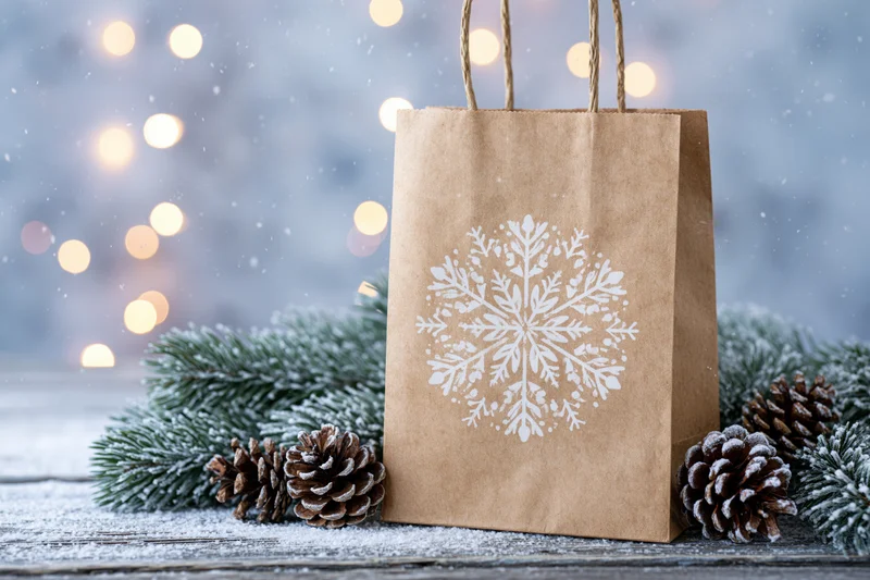 Kraft paper bag with white snowflake print surrounded by pine branches and pinecones on snowy surface with blurred lights in background