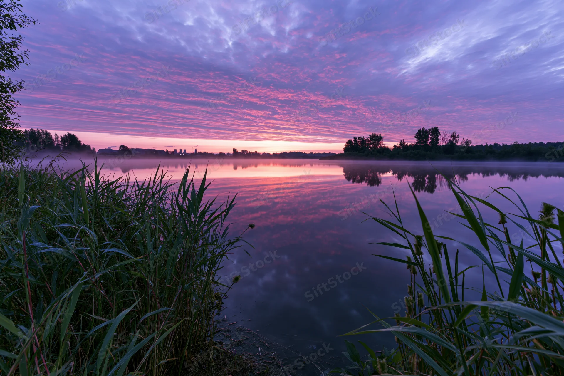 Misty river at dawn with pink and purple clouds reflected in calm water surrounded by reeds